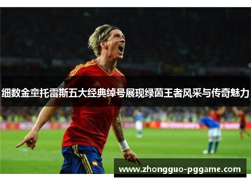 细数金童托雷斯五大经典绰号展现绿茵王者风采与传奇魅力