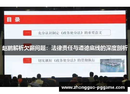 赵鹏解析欠薪问题：法律责任与道德底线的深度剖析