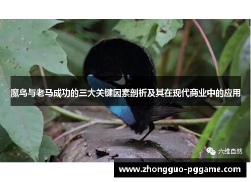 魔鸟与老马成功的三大关键因素剖析及其在现代商业中的应用 魔鸟与老马成功的三大关键因素剖析及其在现代商业中的应用